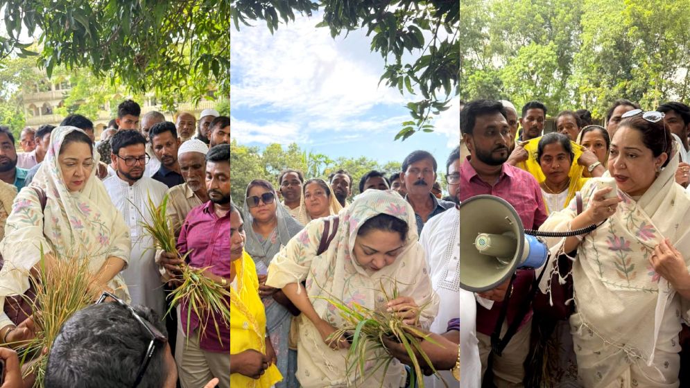 বিষাক্ত বর্জ্যে ফসলহানির অভিযোগ, ক্ষতিগ্রস্ত কৃষকদের পাশে নায়াব ইউসুফ