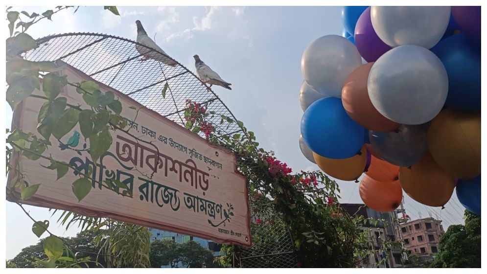 কংক্রিটের ঢাকায় পাখিদের ঠিকানা ‘আকাশ নীড়’