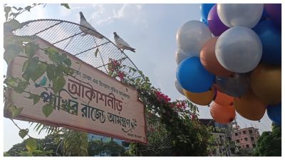 কংক্রিটের ঢাকায় পাখিদের ঠিকানা ‘আকাশ নীড়’