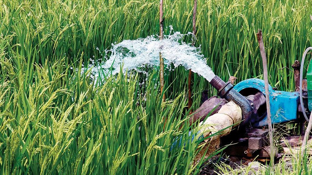 সারা দেশের সব সেচ পাম্প সোলারে নেওয়ার সিদ্ধান্ত
