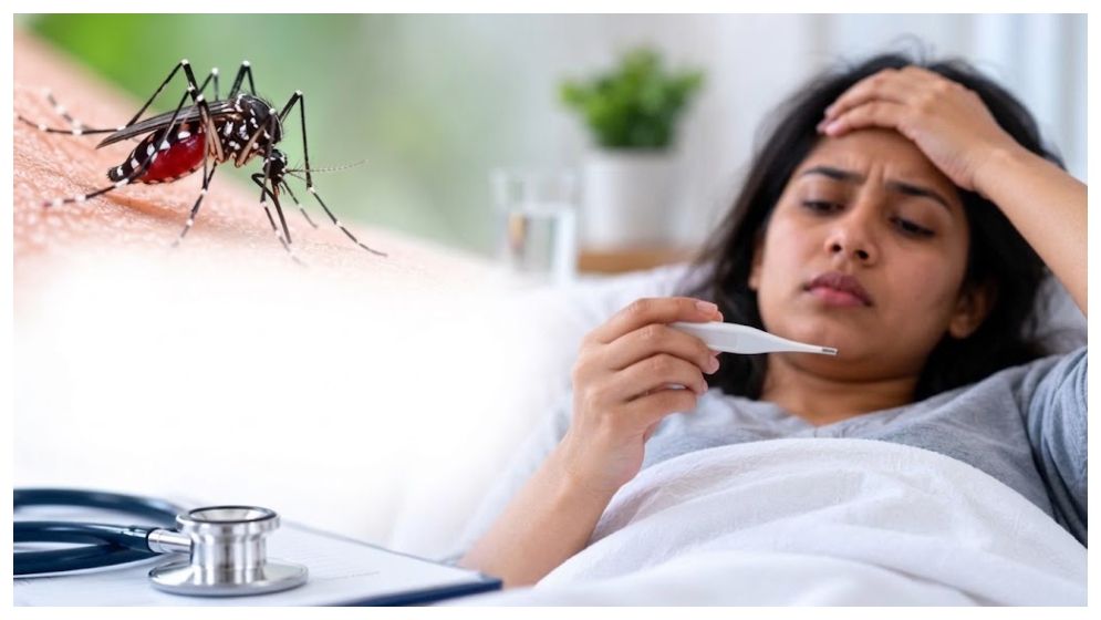 এডিস মশার কবল থেকে পরিবারকে সুরক্ষিত রাখার উপায়