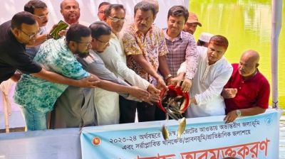 মণিরামপুরে ১৬ জলাশয়ে ৩৪৫ কেজি পোনামাছ অবমুক্ত