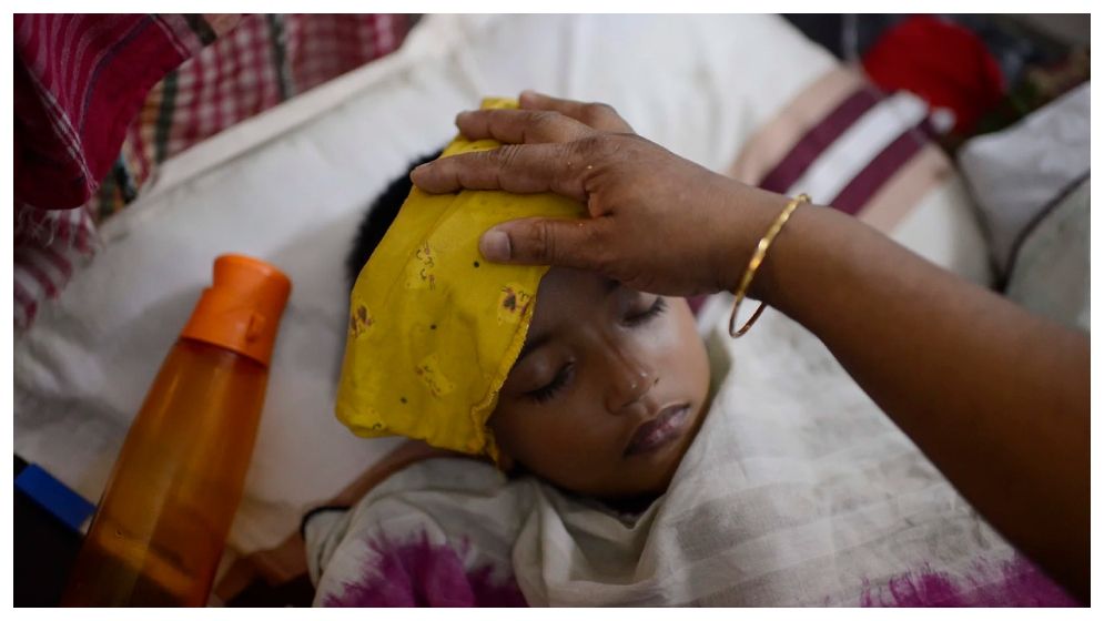 ২৪ ঘণ্টায় ডেঙ্গুতে ৮ মৃত্যু, ভর্তি ১৪৩২