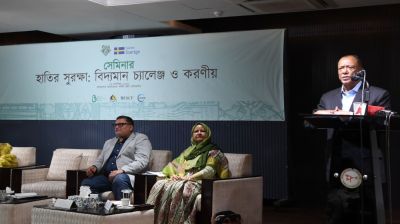 মানুষ ও হাতির নিরাপদ সহাবস্থানে সমন্বিত পদক্ষেপ নেওয়া হবে: পরিবেশমন্ত্রী