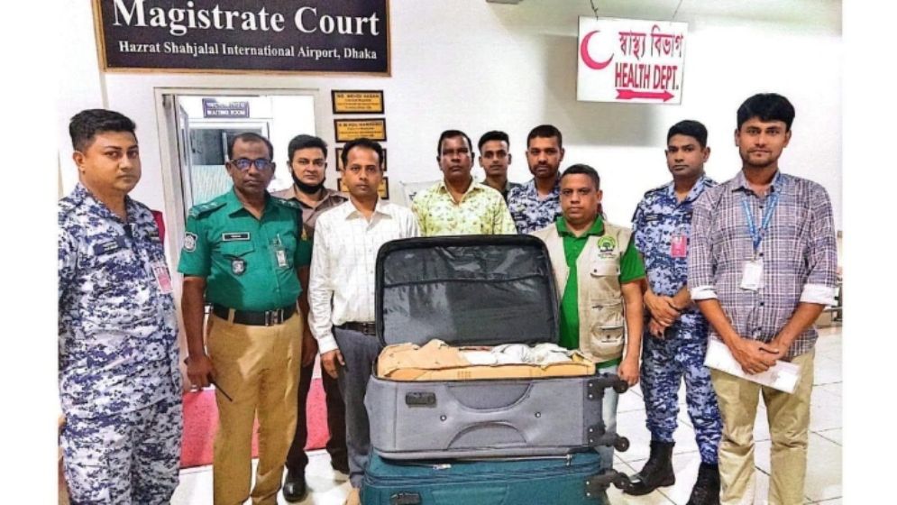 শাহজালাল বিমানবন্দরে ১১৬৩ কচ্ছপসহ আটক ১