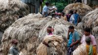 বন্ধ পাটকলের চাকা ঘোরাচ্ছে আবুল খায়ের, কর্মসংস্থান হবে ১৫ হাজার মানুষের