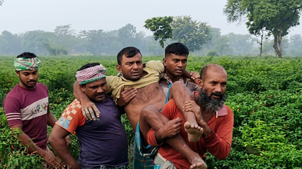 দৌলতপুর সীমান্তে বিএসএফের গুলিতে বাংলাদেশি আহত, পাল্টা গুলি বিজিবির