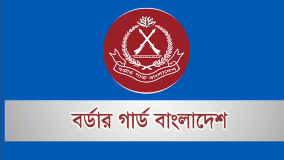 বিজিবির অভিযানে ২৫৪ কোটি ২০ লাখ টাকার বেশি চোরাচালান পণ্য জব্দ