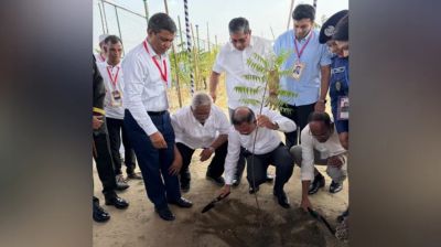 ঢাকা-আরিচা মহাসড়কে সবুজায়ন কর্মসূচির উদ্বোধন করলেন প্রধানমন্ত্রী