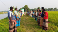 সেচ প্রকল্পের অনিয়ম ও অতিরিক্ত টাকা আদায়ের কৃষকদের মানববন্ধন