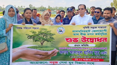 ৫ বছরে দেশে ২৫ কোটি গাছ লাগানোর লক্ষ্য সরকারের: দুলু