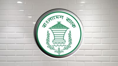 সাইবার হামলার শঙ্কায় বন্ধ বাংলাদেশ ব্যাংকের ওয়েবসাইট
