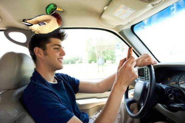 <font style=\'color:#000000\'>25 Bizarre Laws Around the World That Make No Sense</font>