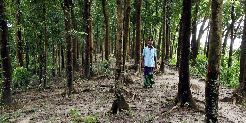Bangladesh not waiting for the world to save us
