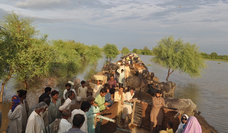 Climate migrants deserve equity, capacity and human rights