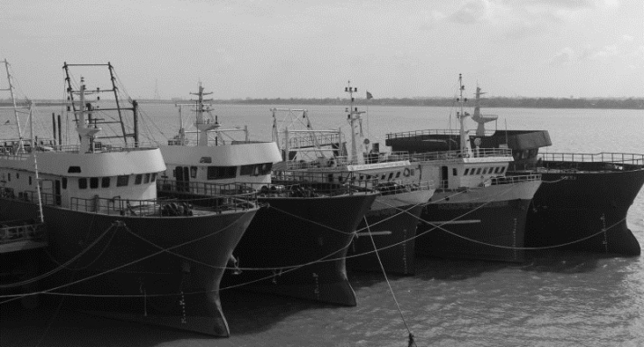 Marine fishing industry converts bottom trawlers