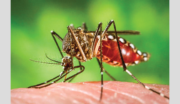 2.6b people in Zika risk areas in Asia, Africa