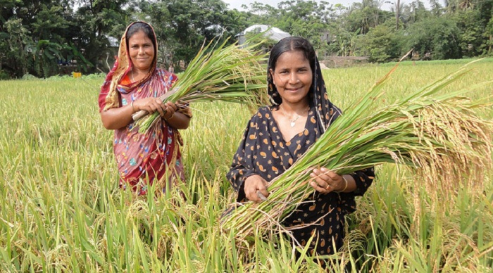 20pc allocation of national budget demanded for agriculture sector