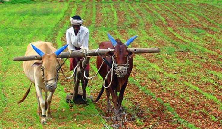 Banks exceed agricultural loan disbursement target for FY17 