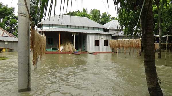 100 Faridpur villages flooded as Padma flowing over danger mark