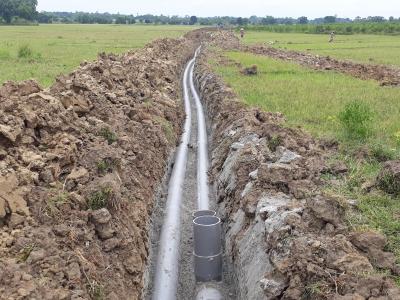 River water irrigation brings boon for Rajshahi farmers