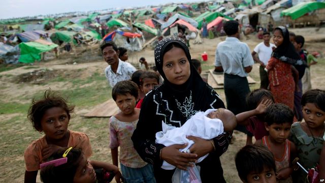 9 support teams to give healthcare to Rohingyas
