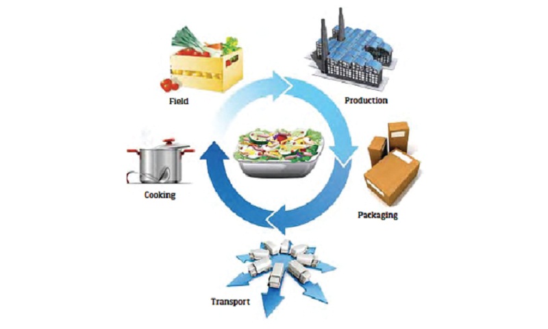 Choose Healthy Food to Keep You Fit