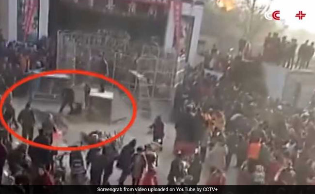 Tiger mauls two children after escaping from circus (Video)
