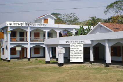 Strong Local Governance for Sustainable Development