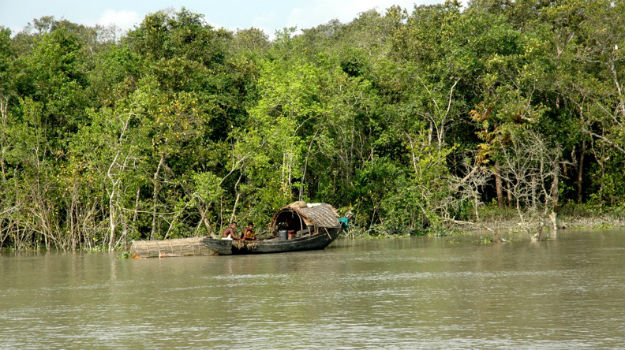 4 fishermen abducted in Sundarbans