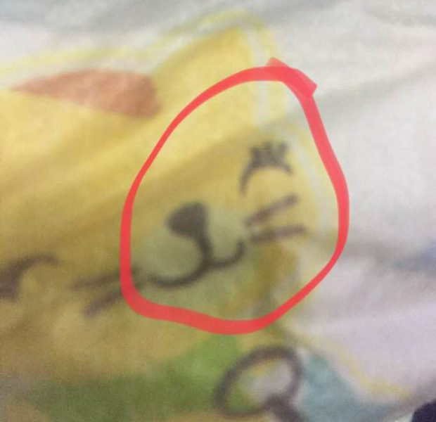 Prophet’s name on diaper! Muslims burn Pampers, call for a ban