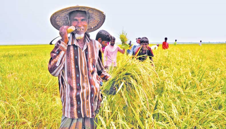 GDP to hit 8.13 pc in current fiscal year: Finance Minister