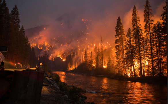 Norway forest fires rage amid Europe drought fears 