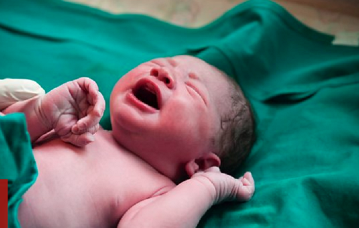 Australian court rules sperm donor is legal father 