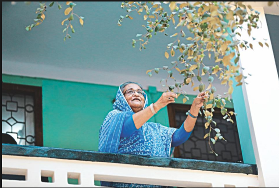 ‘Hasina-A Daughter’s Tale’ to be screened at Durban film festival