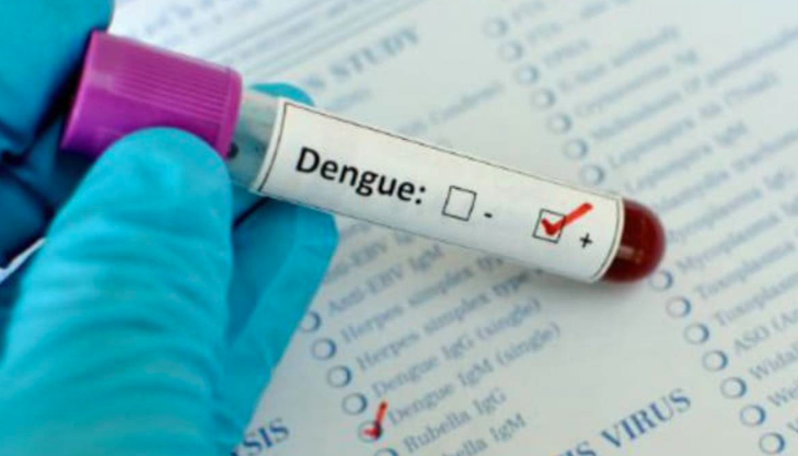 High Court wants steps against charging of excessive fees for Dengue tests