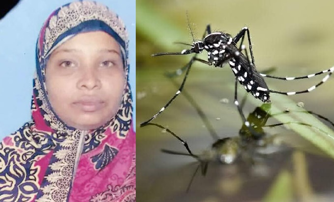 Dengue claims one more life in Madaripur