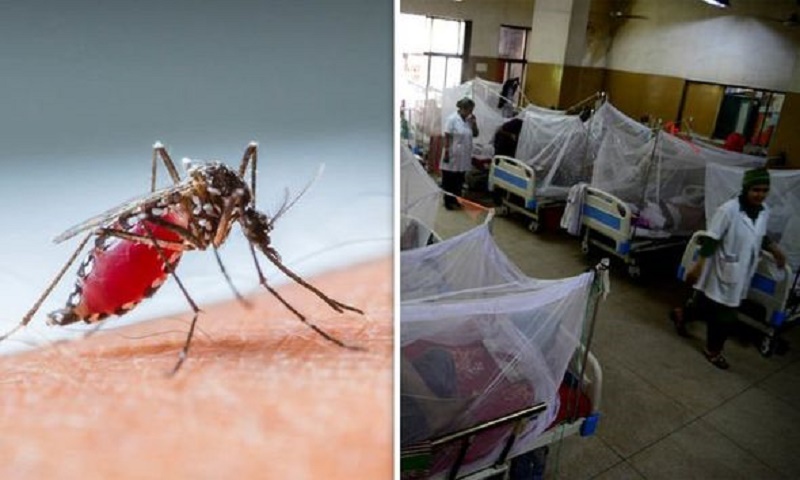 Travails of Dengue Outbreak