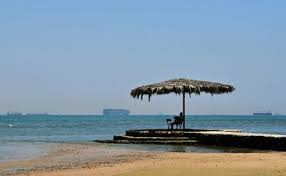 New fuel to get sea freight environmentally shipshape

