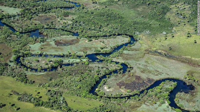 The Amazon burns, But another part of Brazil is being destroyed faster