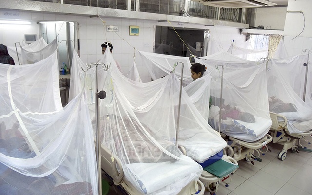 2,018 dengue patients undergoing treatment in country