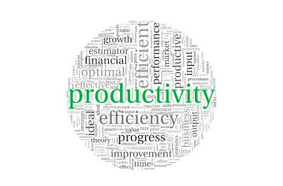 National Productivity Day observed
