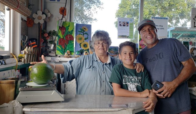 Big avocado earns Hawaii family Guinness World Records honor