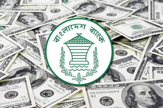 Remittance inflow increases by 20.48pc in 4 months