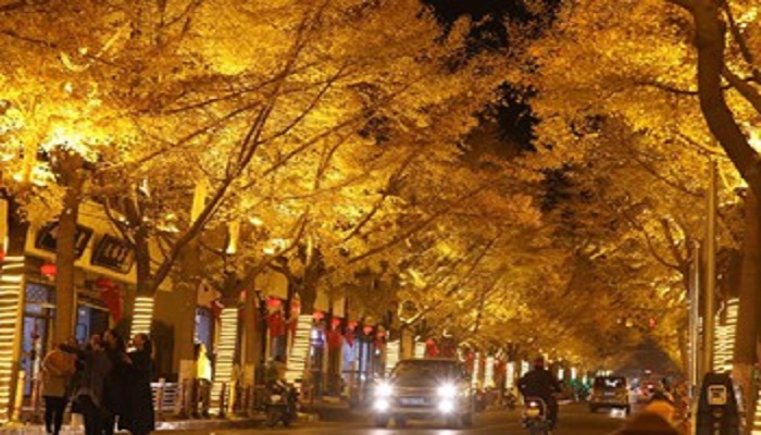 5.9-magnitude quake hits Indonesia: USGS