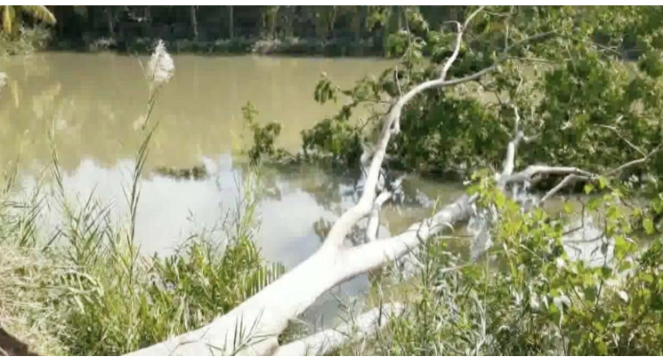 Sundarbans bears the brunt of cyclone Bulbul