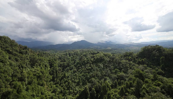 China contributes to global ecological protection: report