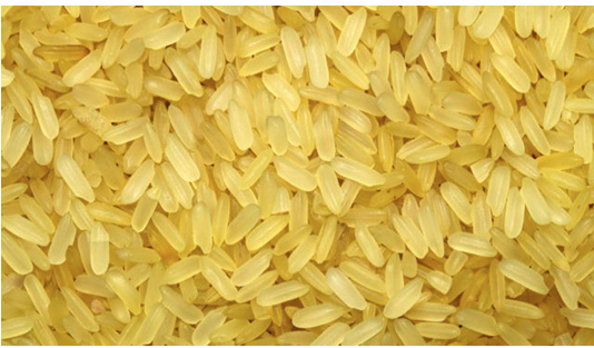 Golden Rice awaiting food safety clearance: BRRI