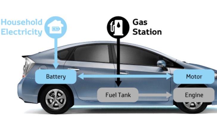 China leads in electric, hybrid vehicle market: survey