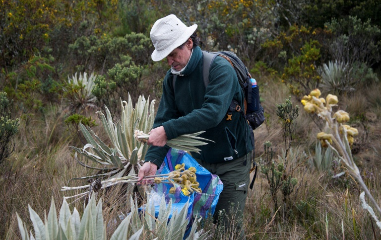 Colombian botanist risking his life to preserve nature’s memory

